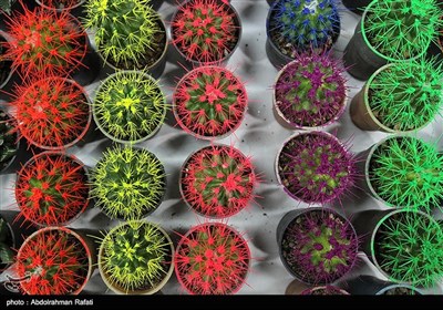 هفدهمین نمایشگاه سراسری گل و گیاه و گیاهان دارویی در همدان