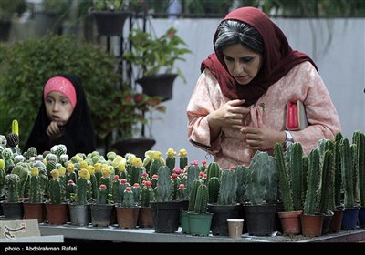 هفدهمین نمایشگاه سراسری گل و گیاه و گیاهان دارویی در همدان