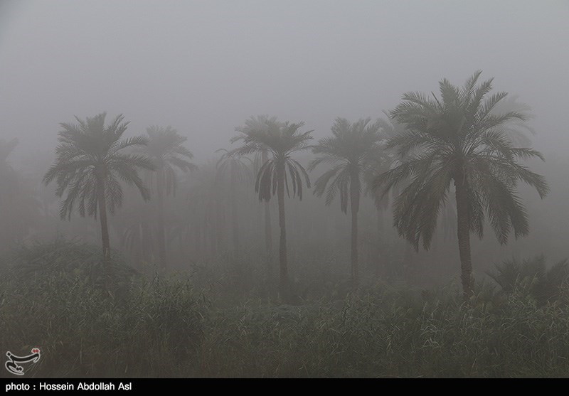 مه غلیظ و کاهش شدید دید افقی در اهواز و برخی شهرهای خوزستان + فیلم