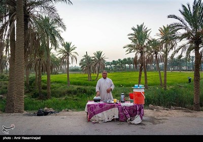 Pilgrims Stream towards Karbala on Foot from Najaf 