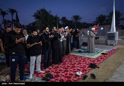 Pilgrims Stream towards Karbala on Foot from Najaf 