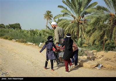 Pilgrims Stream towards Karbala on Foot from Najaf 