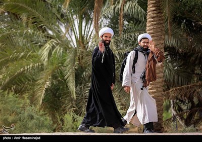 Pilgrims Stream towards Karbala on Foot from Najaf 