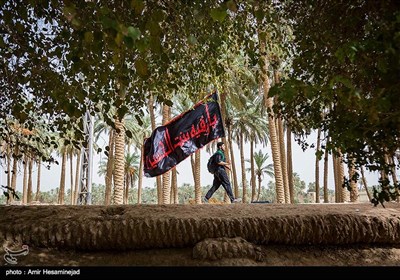 Pilgrims Stream towards Karbala on Foot from Najaf 