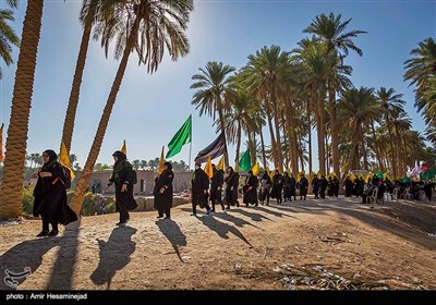 Pilgrims Stream towards Karbala on Foot from Najaf 