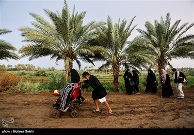 پیاده روی اربعین حسینی - طریق العلماء