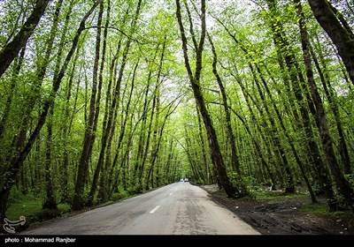 منطقه گردشگری گیسوم