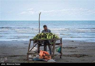 منطقه گردشگری گیسوم