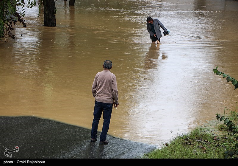 بارش شدید باران در گیلان / قطع درختان و فوت یک نفر بر اثر وزش تندباد شدید