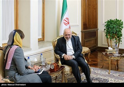 قائم مقام وزیرخارجه سوئد در دیدار با محمد جواد ظریف وزیر امور خارجه ایران
