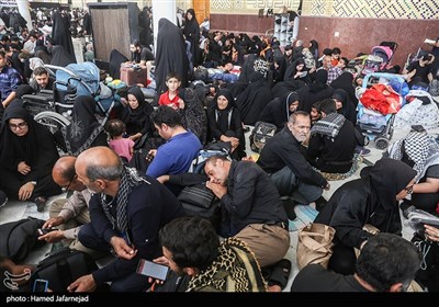 استراحت زائران اربعین حسینی در حرم حضرت علی(ع)
