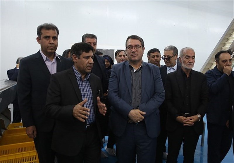 وزیر صنعت: میز صادراتی خرما در استان بوشهر راه‌‌اندازی می‌شود
