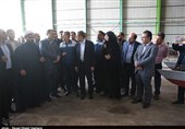 بازدید وزیر صنعت از ظرفیت‌های صنایع دریایی بوشهر به روایت تصویر
