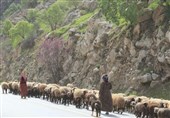 آغاز کوچ پاییزه عشایر لرستان؛ معلمان در مناطق قشلاقی مستقر شوند