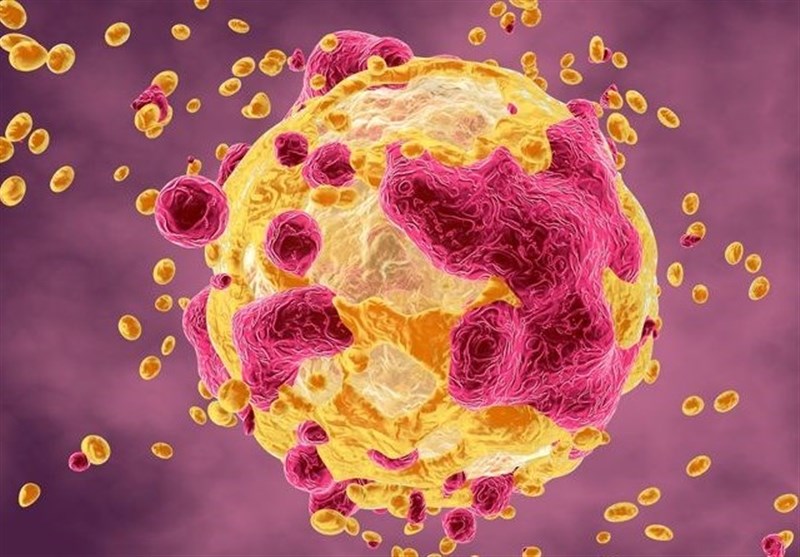 کشف داروی جدیدی که تومورهای سرطانی را از بین می‌برد