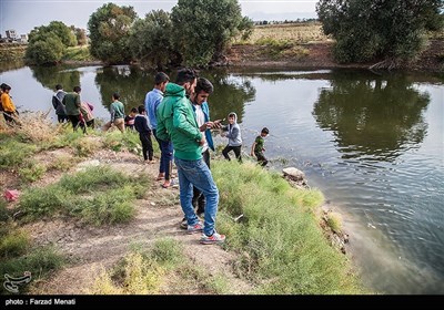 تلف شدن هزاران قطعه ماهی در رودخانه قره سو-کرمانشاه