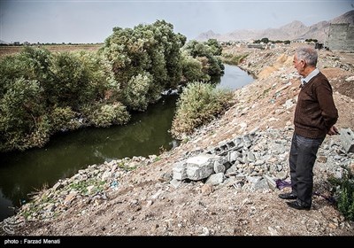 تلف شدن هزاران قطعه ماهی در رودخانه قره سو-کرمانشاه