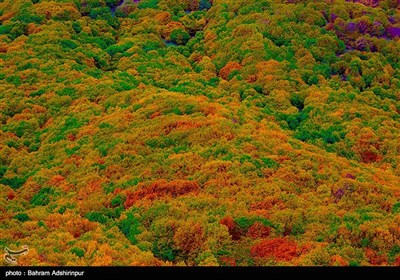 به رنگ خزان - اردبیل