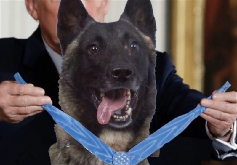 Twitter Reacts to Trump’s Photoshopped Picture of Giving Medal to Military Dog