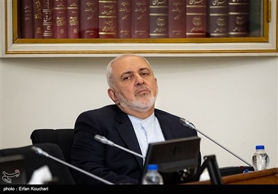 محمدجواد ظریف وزیر امور خارجه در جلسه شورای عالی حقوق بشر