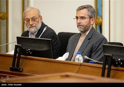 علی باقری کنی و محمدجواد لاریجانی رئیس ستاد حقوق بشر قوه قضائیه در جلسه شورای عالی حقوق بشر