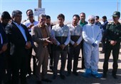 80 درصد طیور بومی خراسان جنوبی رایگان واکسینه میشوند