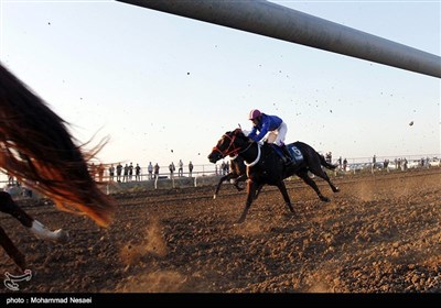 مسابقات قهرمانی کورس اسب دوانی-آق‌قلا