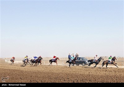 مسابقات قهرمانی کورس اسب دوانی-آق‌قلا