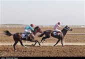 سومین دوره مسابقات کورس اسبدوانی در قشم برگزار شد + فیلم