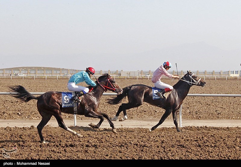 سومین دوره مسابقات کورس اسب‌دوانی در قشم برگزار شد + فیلم