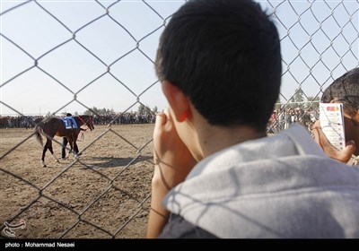 مسابقات قهرمانی کورس اسب دوانی-آق‌قلا