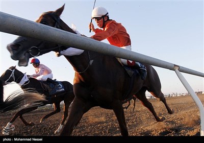 مسابقات قهرمانی کورس اسب دوانی-آق‌قلا