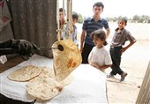 قیمت آرد برای نانوایی‌های استان همدان یک ریال هم افزایش نداشته است