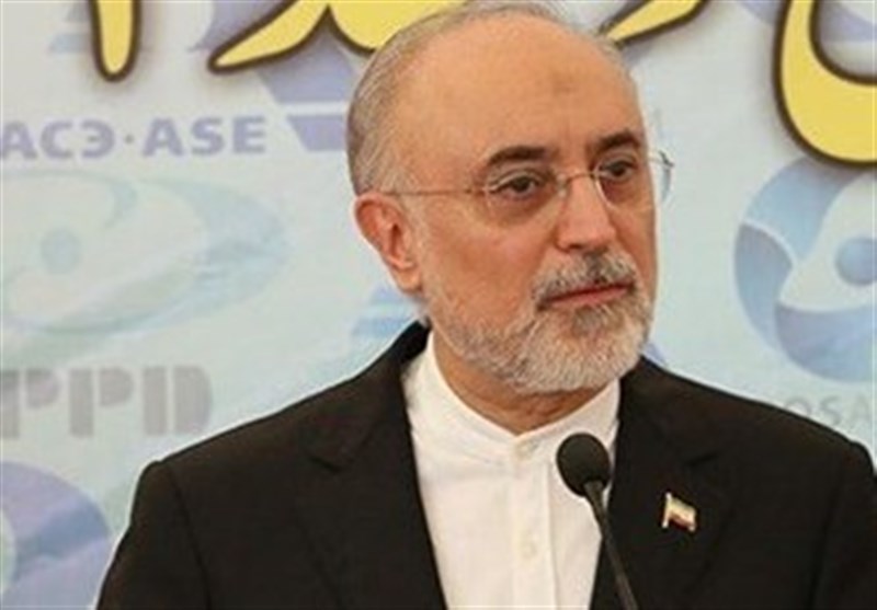 Iran Nuclear Chief Unveils Plan for Enrichment Activities