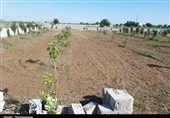 اماواگرهای تخریب زمینهای روستای علیآباد توسط جهاد کشاورزی پاکدشت + فیلم