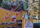 بوشهر| تولید عسل در ایران به 88 هزار تن رسید