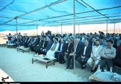 برگزاری جشنواره برداشت عسل در استان بوشهر به روایت تصویر