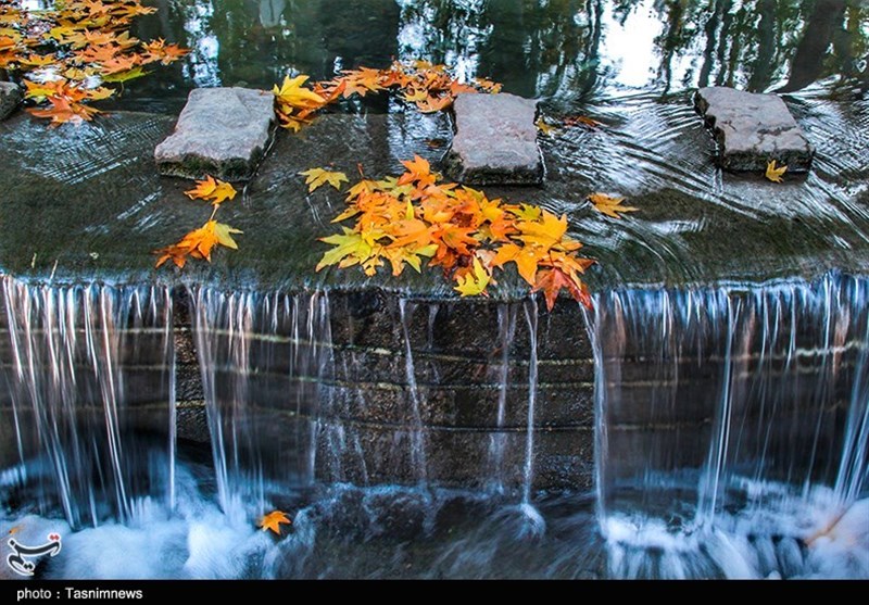 پاییز رنگارنگ خراسان شمالی به روایت تصاویر