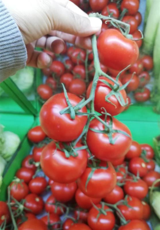 ٹماٹر کی قیمت بےقابو / ایران سے درآمد کرنے کا فیصلہ