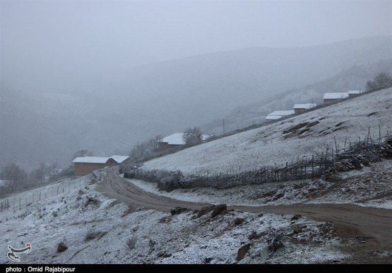 پوشش برف در ارتفاعات مازندران / مدارس ‌کلاردشت، ‌کجور، مرزن‌آباد، کیاسر و پشتکوه تعطیل شد