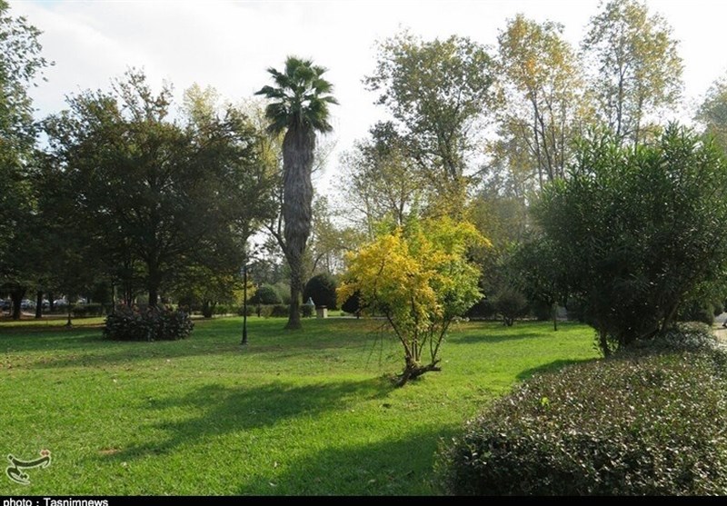کاشت 560 هزار اصله درخت در تهران تا پایان سال