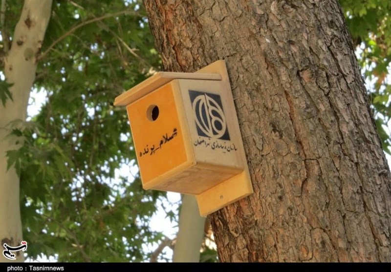 اصفهان| مأمنی برای آرامش پرندگان؛ اینجا حال پرنده‌ها خوب است + فیلم