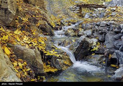 جلوه‌هایی از طبیعت پاییزی استان کردستان