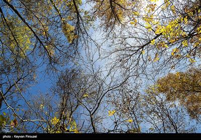 جلوه‌هایی از طبیعت پاییزی استان کردستان