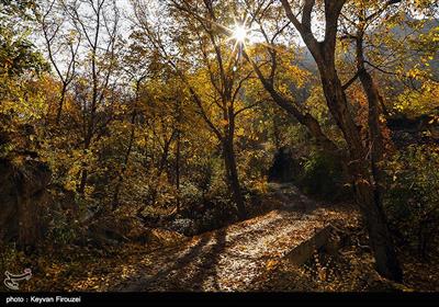 جلوه‌هایی از طبیعت پاییزی استان کردستان