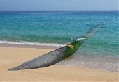 انتقال آب دریای عمان به شرق کشور| تفاهم‌نامه امضا شد، زمان اجرا توافق نشد