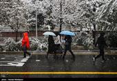 هواشناسی|پیش بینی برف و باران 5 روزه در 29 استان