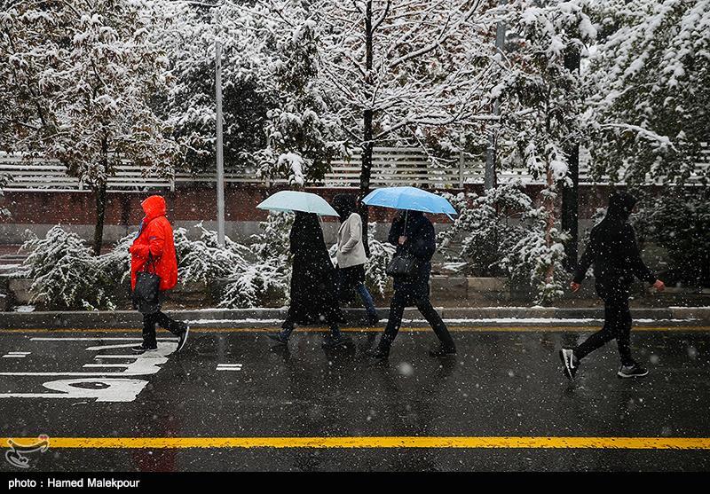 هواشناسی|پیش بینی برف و باران 5 روزه در 29 استان