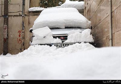 بارش برف در تهران