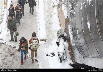 تہران میں موسم کی پہلی برفباری